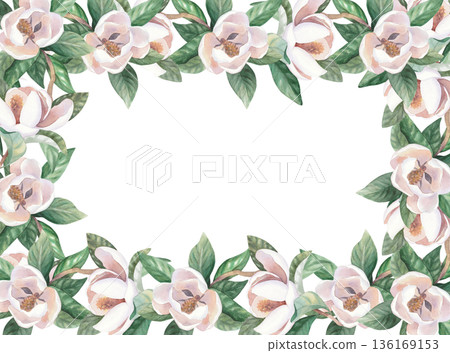 Square frame of a white magnolia. Handmade watercolor illustration. For packaging design, cards, cover, wallpaper, prints, product labels and fabric. 136169153