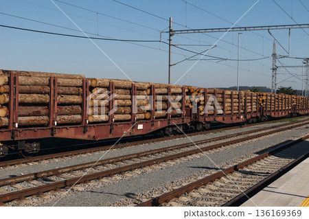 Freight Train Transporting Timber Logs on Railway Tracks. Industrial Wood Cargo Transportation, Lumber Logistics. Forestry Industry Concept, Sustainable Resource Supply Chain. Transportation 136169369
