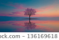 A lone tree is reflected in the water of a lake at sunset 136169618