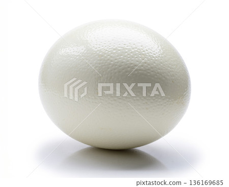 Egg of an ostrich 136169685