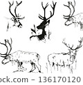 Wild deer drawing on transparent background 136170120