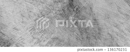 Tree stump cross section showing annual growth rings 136170231