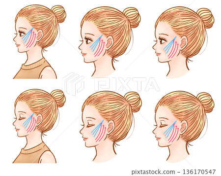 第二組成年女性側臉插畫,髮型為髮髻。 第二組成年女性側臉插畫,髮型為髮髻。 136170547