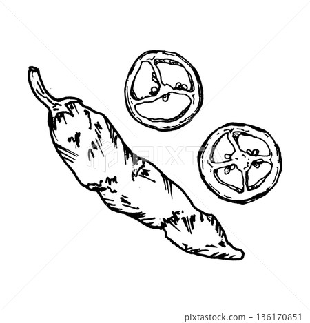 Black and white vector illustration of hot chili pepper and sliced pieces. Hand drawn spicy food in ink line art style for restaurant menus, packaging, cooking concepts and cuisine related designs. 136170851