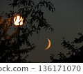 Mysterious Crescent Moon on dark Night sky. Half moon in growing phase. In the foreground, there are trees illuminated by a streetlight. 136171070