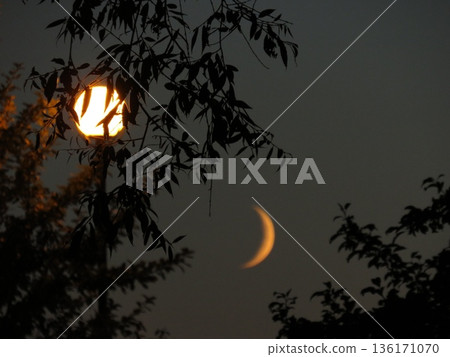 Mysterious Crescent Moon on dark Night sky. Half moon in growing phase. In the foreground, there are trees illuminated by a streetlight. 136171070