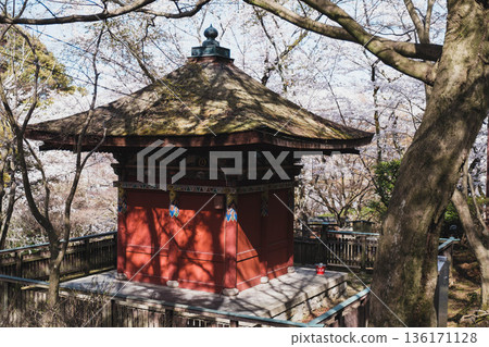 [Mii-dera Temple] Historical buildings and beautiful cherry blossoms 136171128