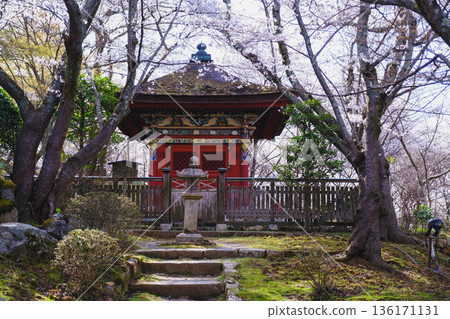 [Mii-dera Temple] Historical buildings and beautiful cherry blossoms 136171131