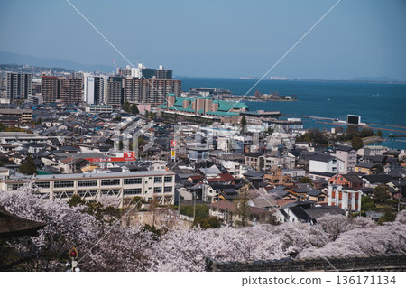 【三井寺】西大津町風景及琵琶湖全景 【三井寺】西大津町風景及琵琶湖全景 136171134