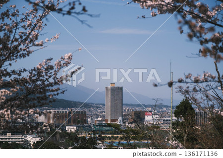 [Mii-dera Temple] A panoramic view of Nishi-Otsu townscape and Lake Biwa 136171136