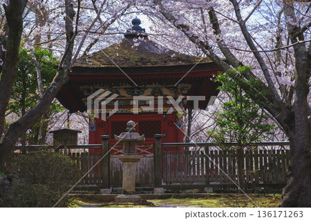[Mii-dera Temple] Scenery of the historic temple grounds 136171263
