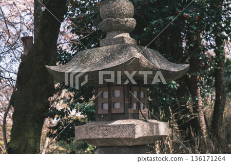 [Mii-dera Temple] Scenery of the historic temple grounds 136171264