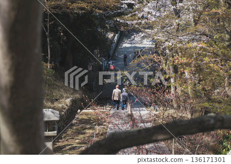 【三井寺】長長的階梯繼續延伸 136171301