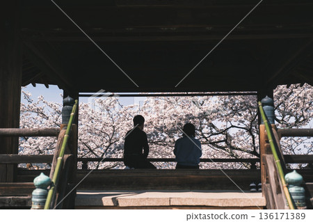 【三井寺】人們在欣賞美麗的櫻花 136171389