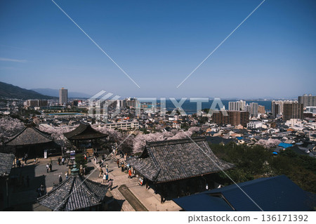 【三井寺】美麗的櫻花和寺廟景色 【三井寺】美麗的櫻花和寺廟景色 136171392