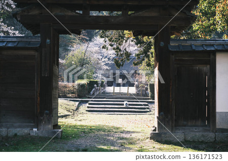 [Lake Biwa No. 1 Canal] Beautiful cherry blossoms blooming along the canal 136171523