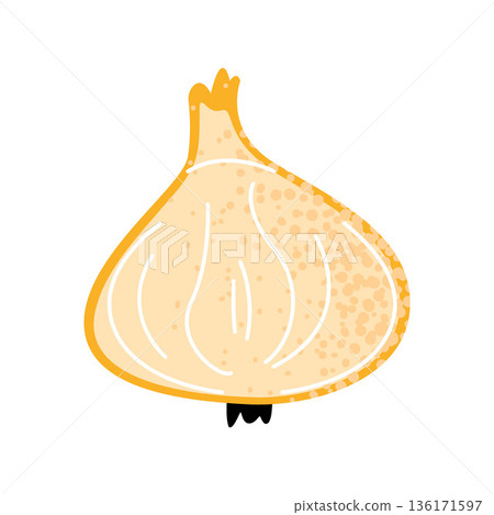 Onion Bulb Food Ingredient Illustration Onion Bulb Food Ingredient Illustration 136171597
