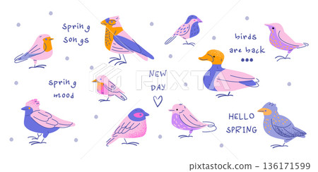 Spring Birds Character Illustration Set Spring Birds Character Illustration Set 136171599