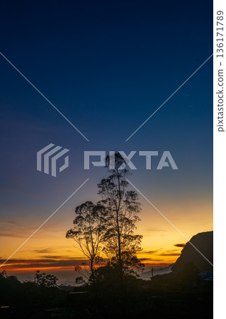 Sunrise casts a warm, golden light across silhouetted tall trees, rolling hills, and a quiet rural landscape. mountains and soft gradients in the sky 136171789