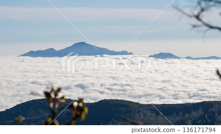 Sea of clouds blankets forested highland mountains under a clear blue sky in Nuwara Eliya, Sri Lanka Sea of clouds blankets forested highland mountains under a clear blue sky in Nuwara Eliya, Sri Lanka 136171794