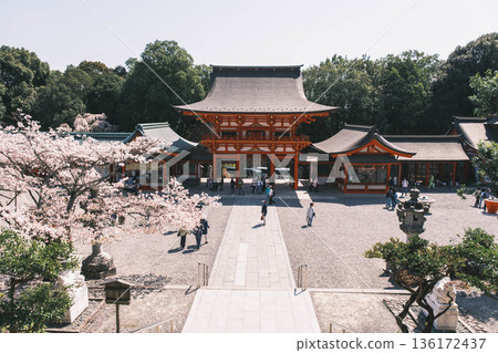 【近江神社】滋賀縣一座歷史悠久的神社景色 136172437