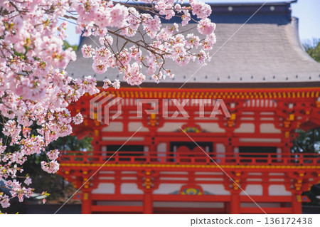 【近江神社】滋賀縣一座歷史悠久的神社景色 136172438