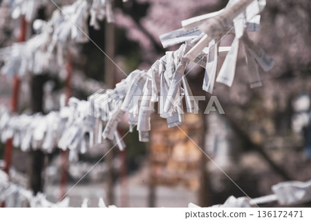 【近江神社】滋賀縣一座歷史悠久的神社景色 136172471