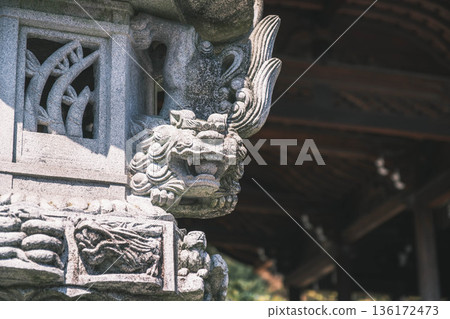 [Omi Shrine] A view of a historic shrine in Shiga Prefecture 136172473