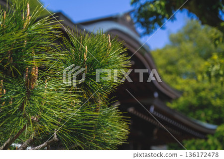 【近江神社】滋賀縣一座歷史悠久的神社景色 136172478
