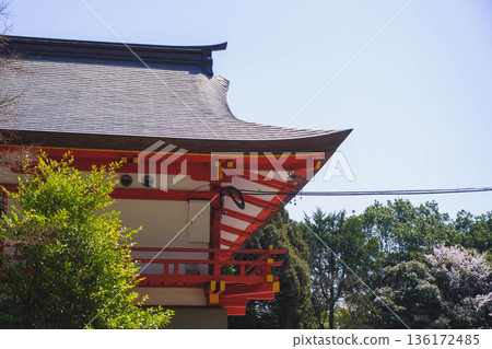 [Omi Shrine] A view of a historic shrine in Shiga Prefecture 136172485