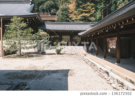 [Omi Shrine] A view of a historic shrine in Shiga Prefecture 136172502