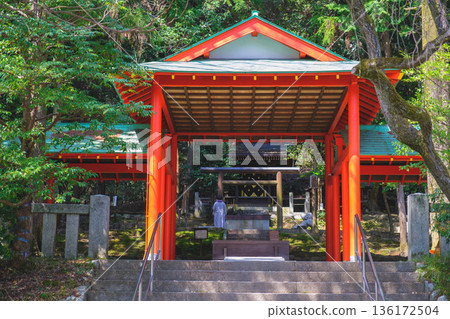 [Omi Shrine] A view of a historic shrine in Shiga Prefecture 136172504