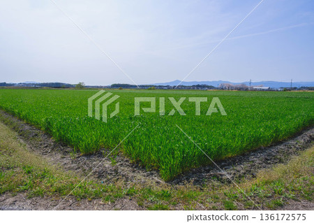 【安須地區】自然風光 【安須地區】自然風光 136172575