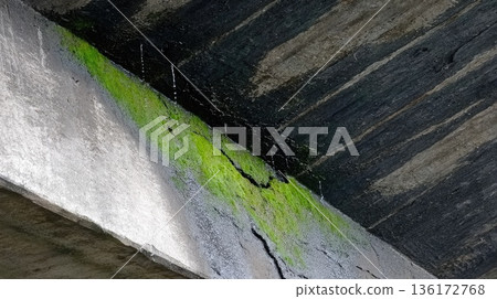 Water Seeping Through Cracked Concrete Wall with Green Moss Texture Water Seeping Through Cracked Concrete Wall with Green Moss Texture 136172768