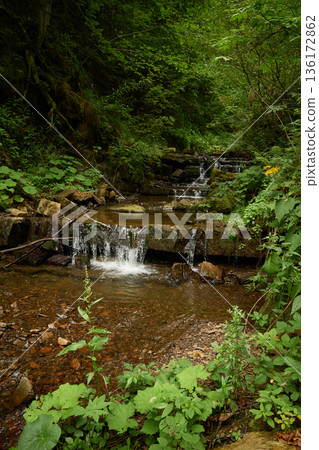 Mountain stream Socolovets. A quiet pocket of untouched nature in the woods. A narrow stream winds through a dense, green forest, slipping over smooth rocks to form a series of small, gentle waterfall Mountain stream Socolovets. A quiet pocket of untouched nature in the woods. A narrow stream winds through a dense, green forest, slipping over smooth rocks to form a series of small, gentle waterfall 136172862