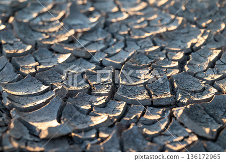 Dry cracked ground surface lit by setttign sun. Close up of beautiful texture of dry water basin with deep cracks, symbol of lack of water, rain needed Dry cracked ground surface lit by setttign sun. Close up of beautiful texture of dry water basin with deep cracks, symbol of lack of water, rain needed 136172965