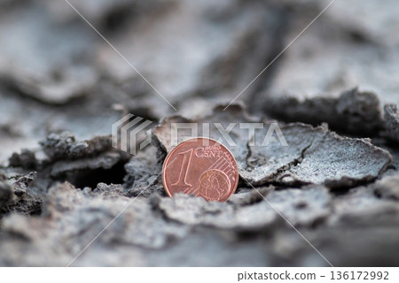 One euro cent on cracked surface macro shot. Concept of economic crisis in Europe, financial problems, decrease in euro value One euro cent on cracked surface macro shot. Concept of economic crisis in Europe, financial problems, decrease in euro value 136172992