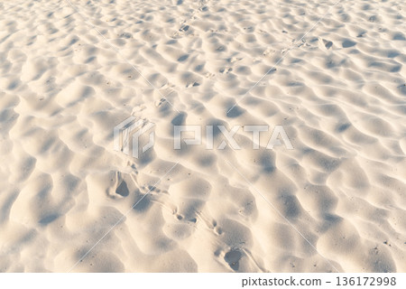 Footprints of some bird on sandy beach. Traces of bird walking on dry beach sand Footprints of some bird on sandy beach. Traces of bird walking on dry beach sand 136172998