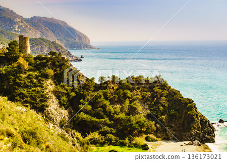 Spanish coast with Pine Tower, Andalusia. 136173021