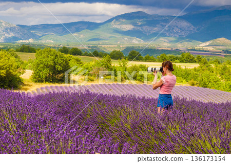 Woman take photo on lavender field, Provence France Woman take photo on lavender field, Provence France 136173154