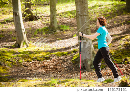 Nordic walking. Woman hiking in the forest park. Nordic walking. Woman hiking in the forest park. 136173161