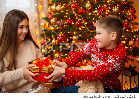 Little boy and teenage girl siblings fighting for a present sitting under decorated Christmas tree. Christmas celebration Little boy and teenage girl siblings fighting for a present sitting under decorated Christmas tree. Christmas celebration 136173251
