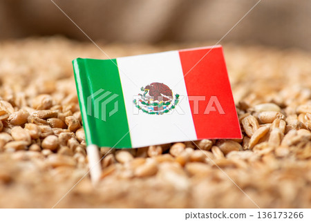 Flag of Mexico on wheat grain. Wheat from Mexico concept 136173266