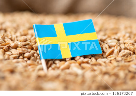 Growing wheat in Sweden concept. Flag of Sweden on wheat grain Growing wheat in Sweden concept. Flag of Sweden on wheat grain 136173267