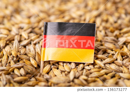 Flag of Germany on barley grain. Growing grain in Germany concept 136173277