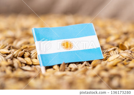 Harvest of barley in Argentina concept. Flag of Argentina on barley grain 136173280