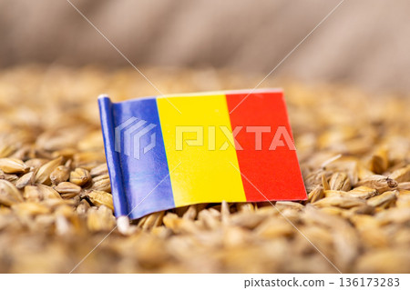 Harvest of barley in Romania concept. Small paper flag of Romania on barley grain Harvest of barley in Romania concept. Small paper flag of Romania on barley grain 136173283