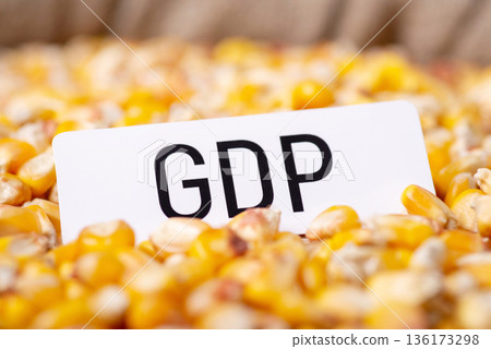 Paper with inscription GDP on corn. Dependance of GDP on harvest of corn in country concept 136173298