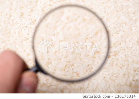 Studying rice concept. Magnifying glass on grain of rice Studying rice concept. Magnifying glass on grain of rice 136173314