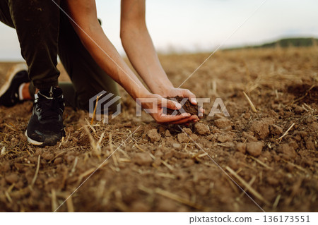 A young woman farmer holds black soil in hand on an agricultural field. Fertility concept, scaling. A young woman farmer holds black soil in hand on an agricultural field. Fertility concept, scaling. 136173551